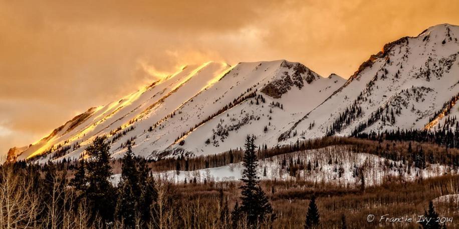 Alpine Inn & Suites Гънисън Екстериор снимка